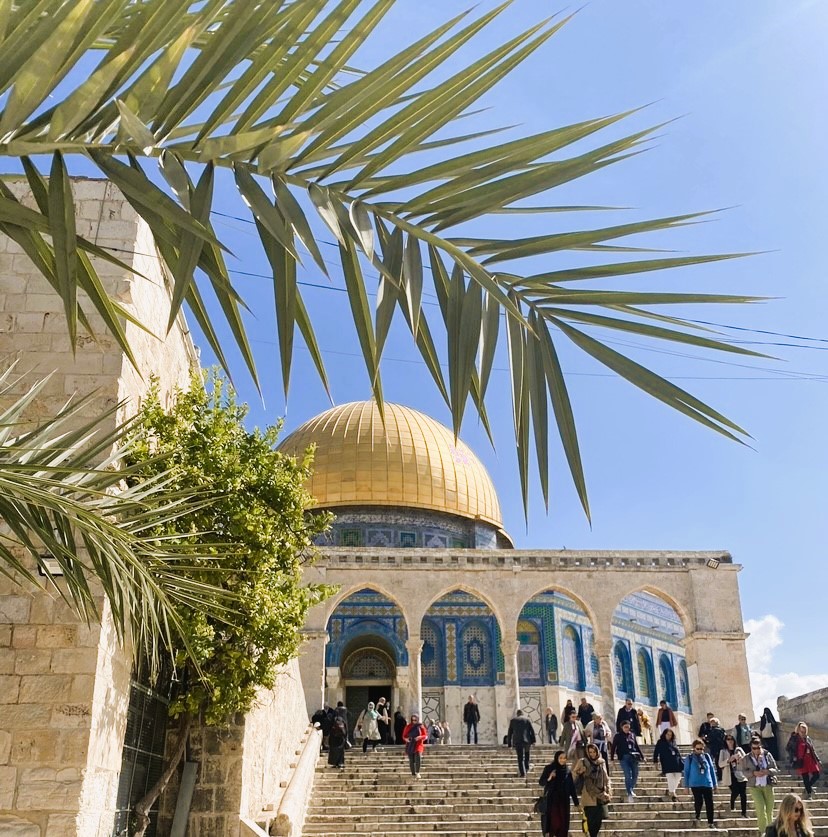 Al Aqsa Med Palme (1)